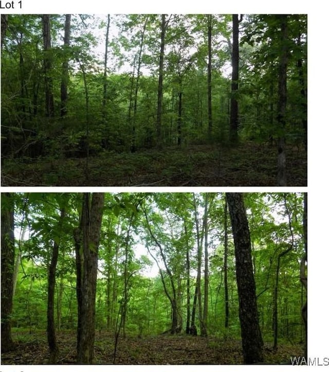 5890 Garner Rd, Tuscaloosa, AL 35405