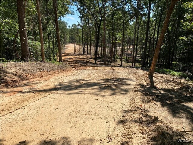 0 Jones Rd, Northport, AL 35473 - photo 2