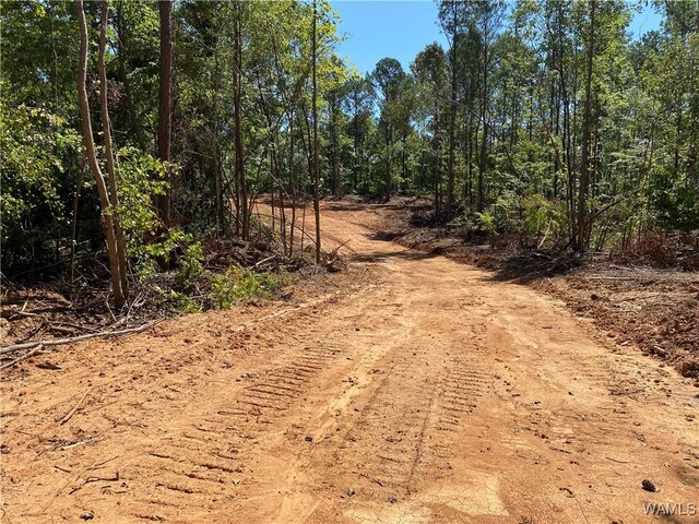 0 Jones Rd, Northport, AL 35473 - photo 14