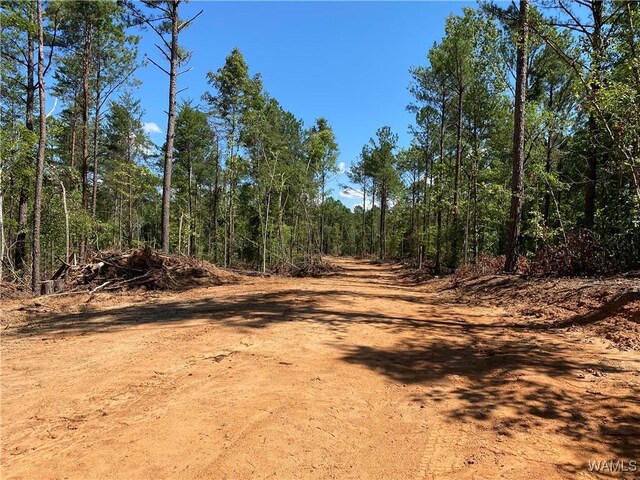 0 Jones Rd, Northport, AL 35473 - photo 15