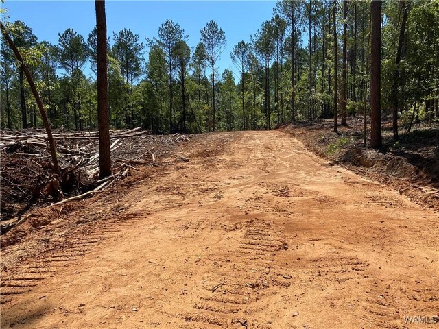 0 Jones Rd, Northport, AL 35473 - photo 13
