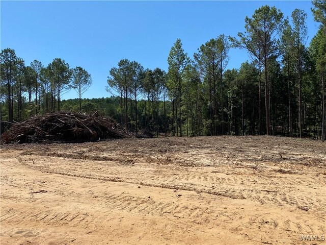 0 Jones Rd, Northport, AL 35473 - photo 4