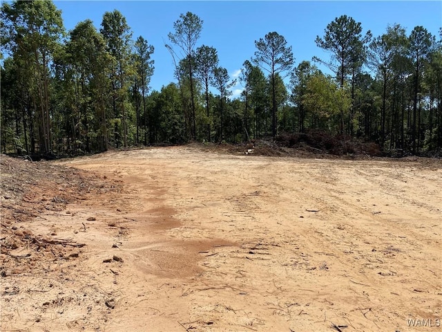 0 Jones Rd, Northport, AL 35473 - photo 5
