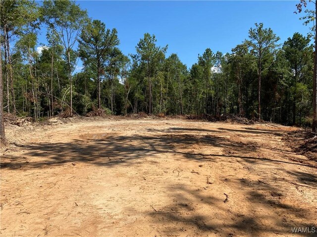 0 Jones Rd, Northport, AL 35473 - photo 16