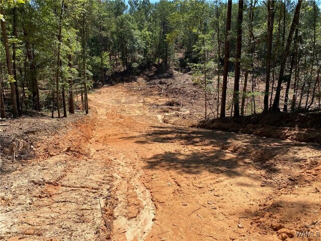 0 Jones Rd, Northport, AL 35473 - photo 17