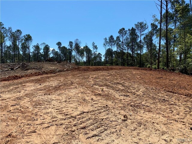 0 Jones Rd, Northport, AL 35473 - photo 8