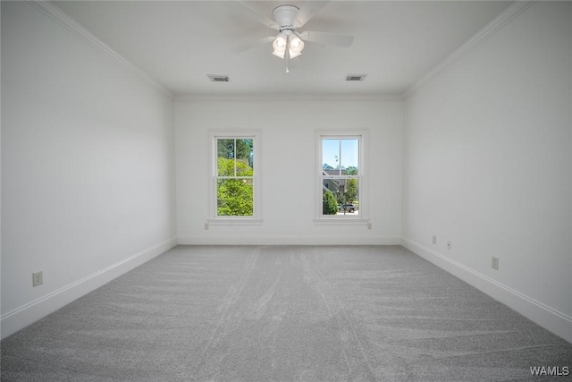 5402 Courtney Ave, Tuscaloosa, AL 35406 - photo 41