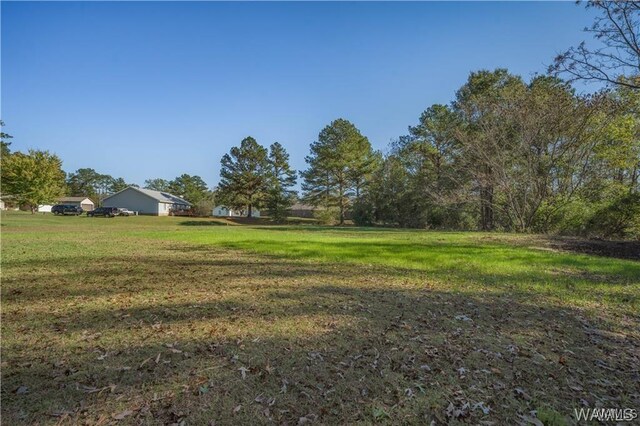 view of yard with a rural view