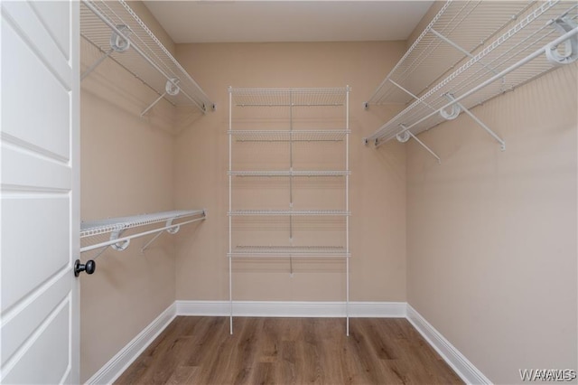 spacious closet with wood finished floors