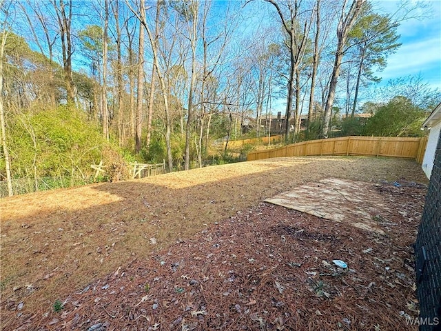 view of yard with a patio area