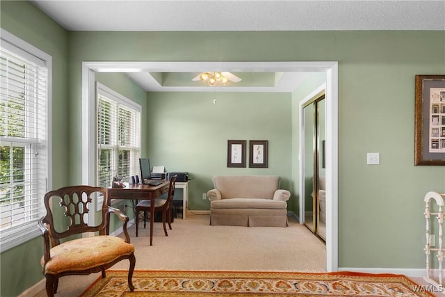 sitting room with carpet