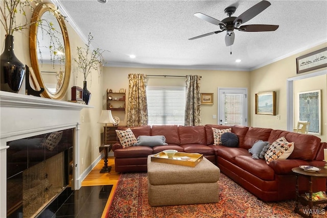 living room featuring dark hardwood / wood-style flooring, a textured ceiling, ceiling fan, and ornamental molding