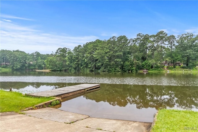 4702 Northwood Lake Dr E, Northport, AL 35473 - photo 47