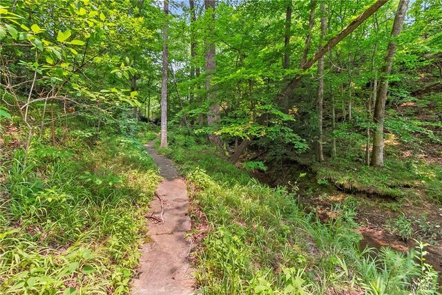 6803 Emerald Ln, Tuscaloosa, AL 35406 - view of undeveloped land