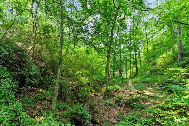 6803 Emerald Ln, Tuscaloosa, AL 35406 - view of woods