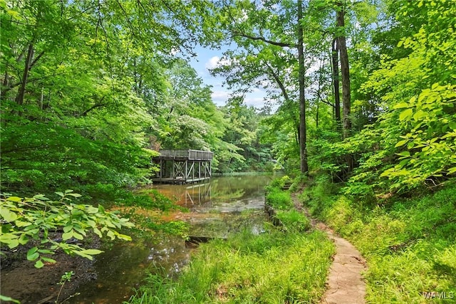 6803 Emerald Ln, Tuscaloosa, AL 35406 - view of yard featuring a water view and a wooded view