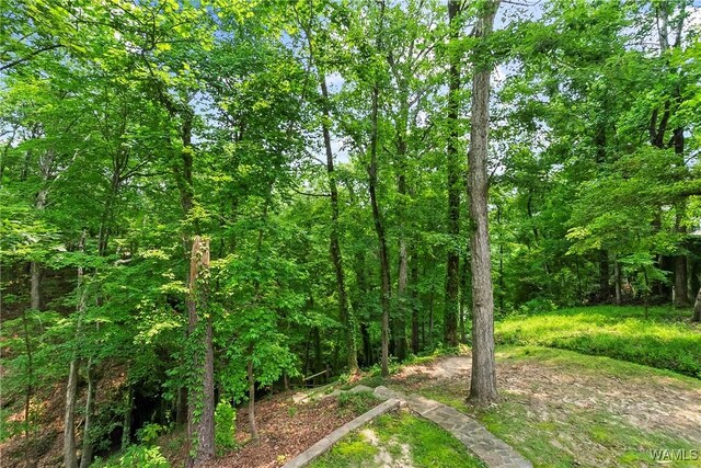 6803 Emerald Ln, Tuscaloosa, AL 35406 - view of tree filled area