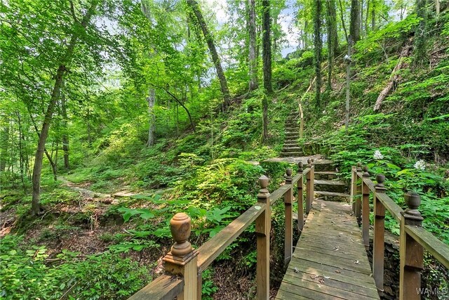 6803 Emerald Ln, Tuscaloosa, AL 35406 - view of local wilderness