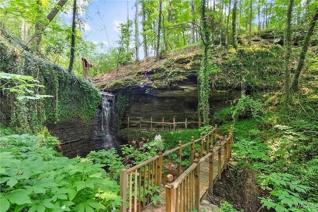 6803 Emerald Ln, Tuscaloosa, AL 35406 - view of local wilderness