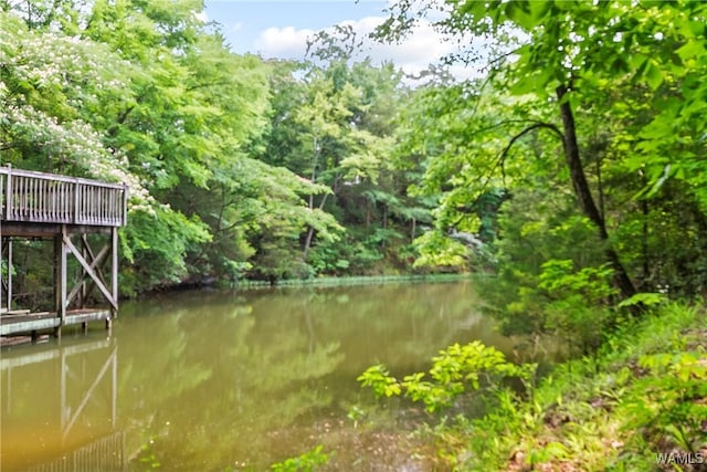 6803 Emerald Ln, Tuscaloosa, AL 35406 - dock featuring a view of trees and a deck with water view