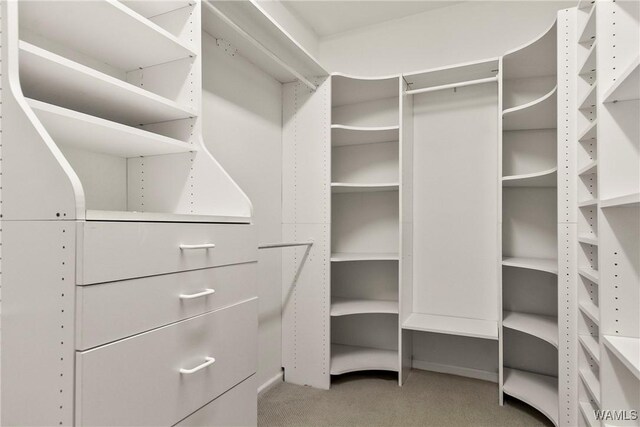 6803 Emerald Ln, Tuscaloosa, AL 35406 - walk in closet featuring carpet floors