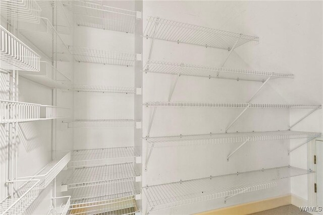6803 Emerald Ln, Tuscaloosa, AL 35406 - view of pantry