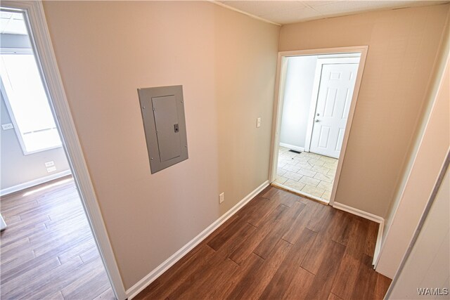 hallway featuring electric panel and dark hardwood / wood-style flooring