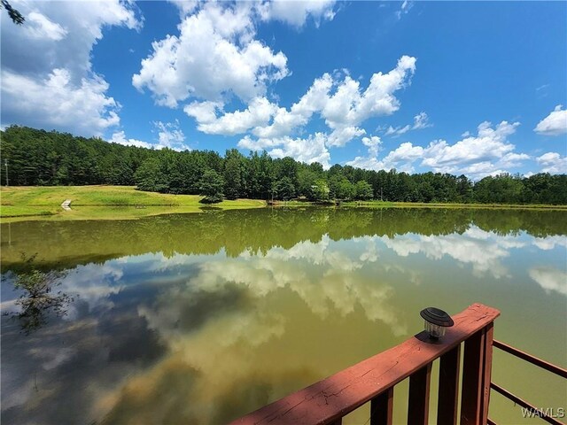 50 White Oak Lck, Fayette, AL 35555 - photo 50