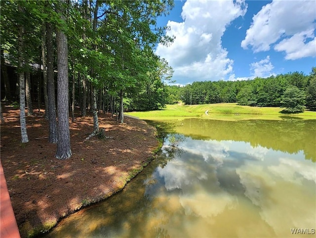 50 White Oak Lck, Fayette, AL 35555 - photo 51