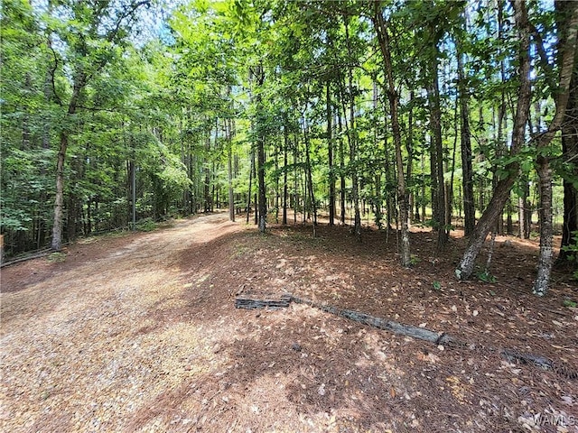 50 White Oak Lck, Fayette, AL 35555 - photo 40