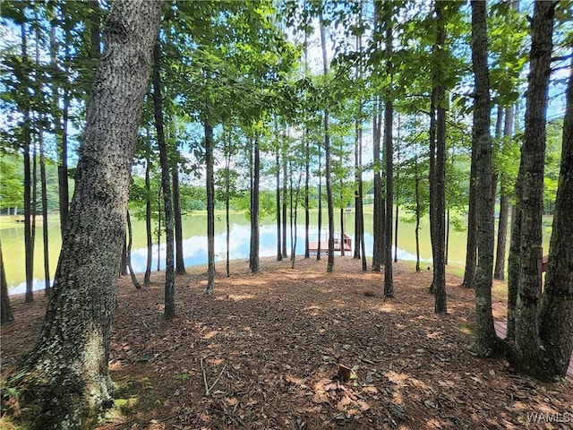50 White Oak Lck, Fayette, AL 35555 - photo 48