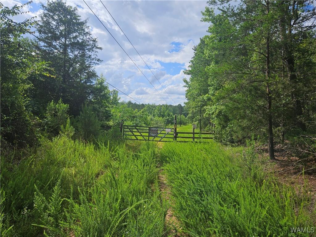 590 Serty Boyd Rd, West Blocton, AL 35184 - photo 1