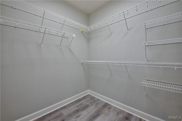 spacious closet featuring hardwood / wood-style floors