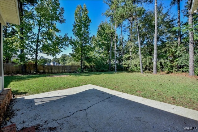 view of yard with a patio area