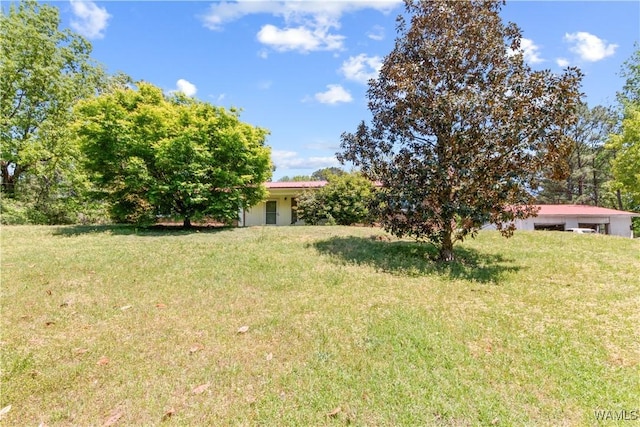 7665 Baptist Campground Rd, Northport, AL 35473 - view of yard