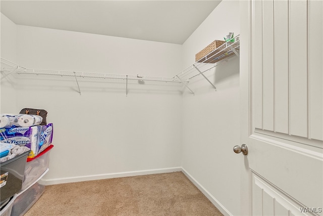 spacious closet with light carpet