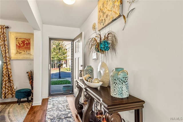 entryway featuring hardwood / wood-style floors