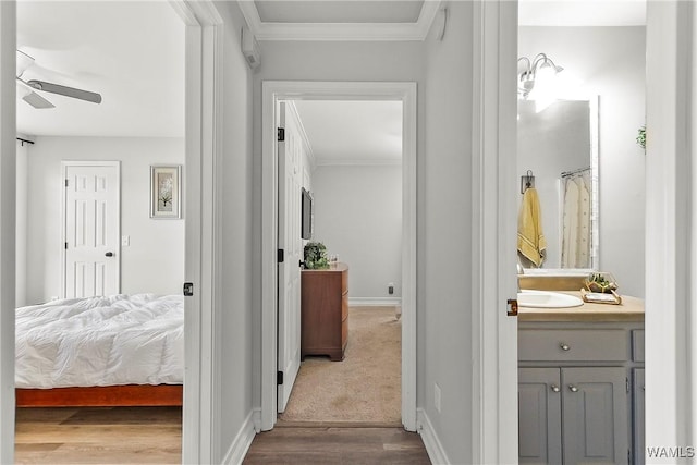 corridor featuring crown molding, light wood finished floors, and baseboards