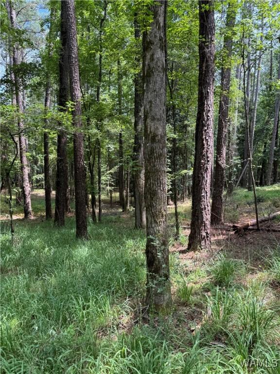 0 Columbus St W, Fayette, AL 35555 - photo 5