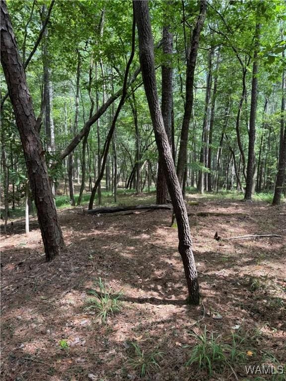 0 Columbus St W, Fayette, AL 35555 - photo 8