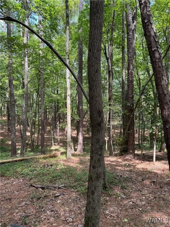 0 Columbus St W, Fayette, AL 35555 - photo 7