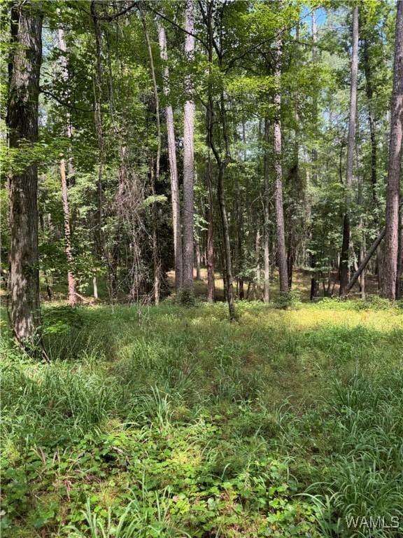 0 Columbus St W, Fayette, AL 35555 - photo 4