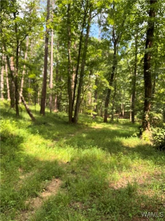 0 Columbus St W, Fayette, AL 35555 - photo 10