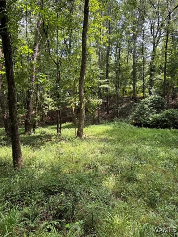 0 Columbus St W, Fayette, AL 35555 - photo 9