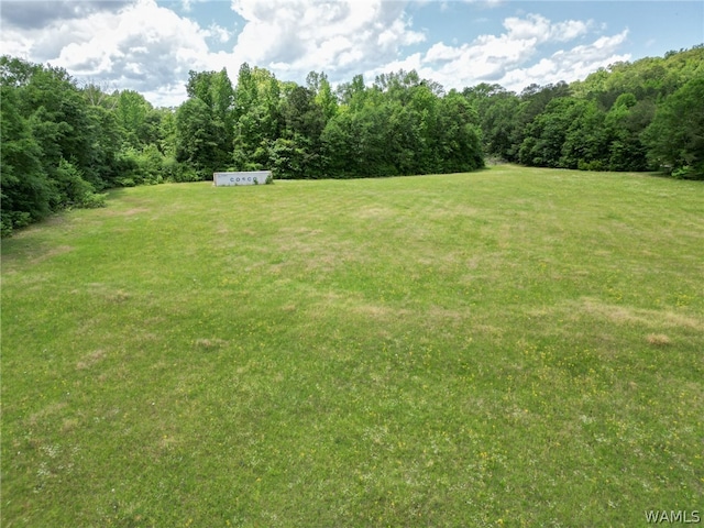 Listing photo 3 for 0 Montgomery Hwy, Centreville AL 35042