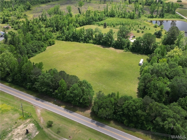 0 Montgomery Hwy, Centreville AL, 35042 land for sale