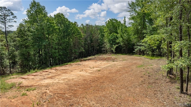 Listing photo 3 for 1 Brant Ward, Cottondale AL 35453