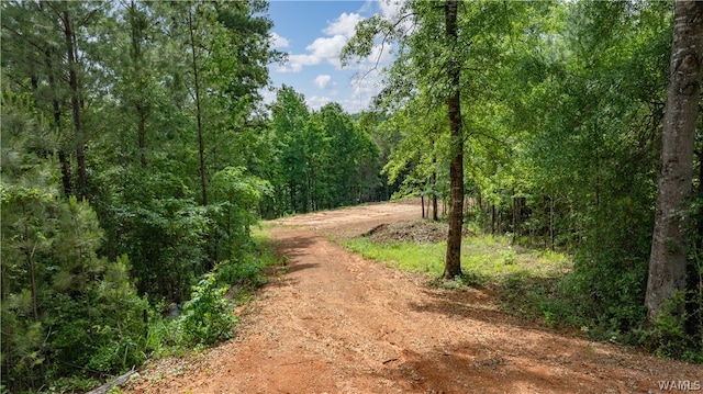 1 Brant Ward, Cottondale AL, 35453 land for sale