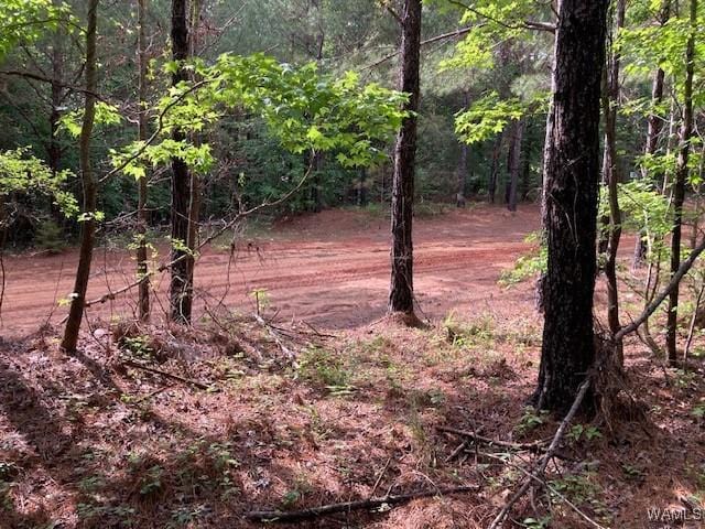 7 Tilly Branch Rd, Northport, AL 35475