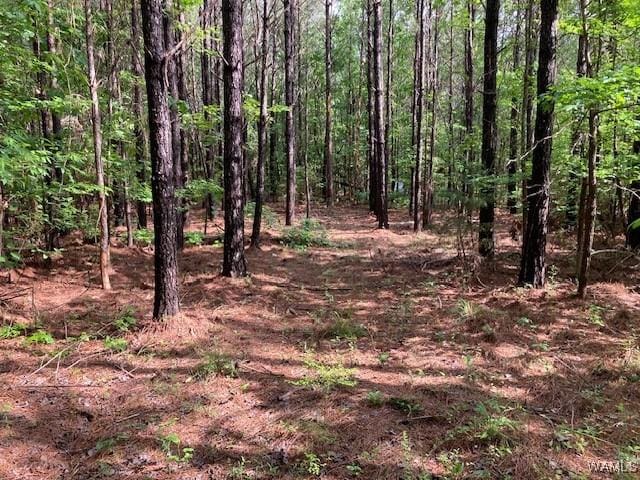 7 Tilly Branch Rd, Northport, AL 35475